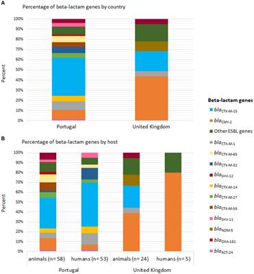 Transmission dynamics of ESBL/AmpC and carbapenemase-producing Enterobacterales between companion animals and humans